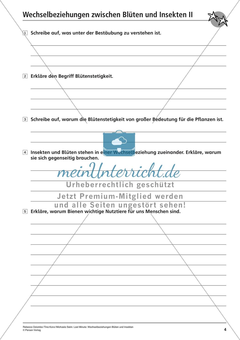 Wechselbeziehungen: Blüten und Insekten Preview 6
