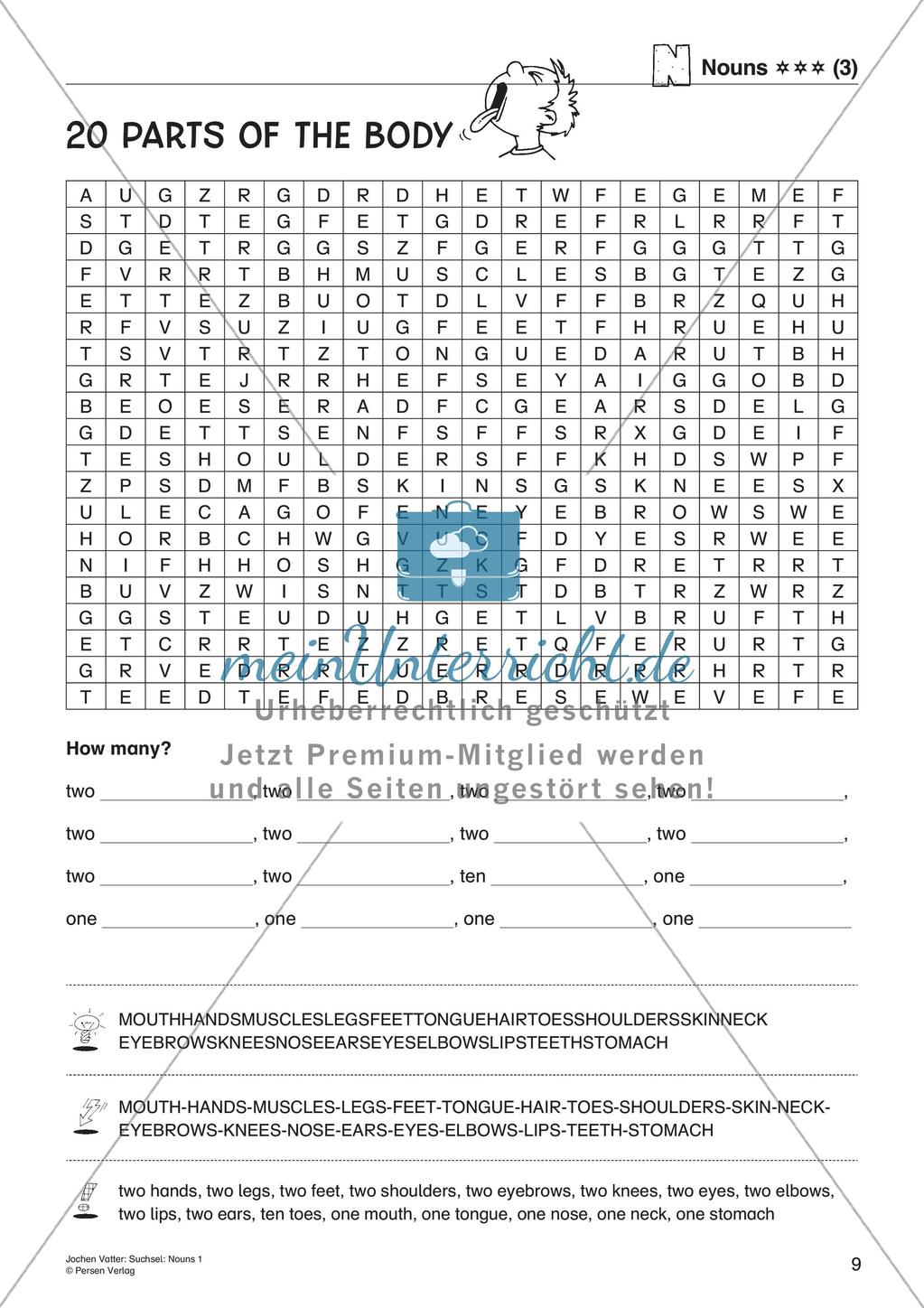 Suchsel: Nouns Preview 11