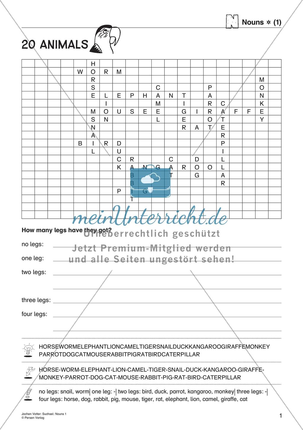 Suchsel: Nouns Preview 3