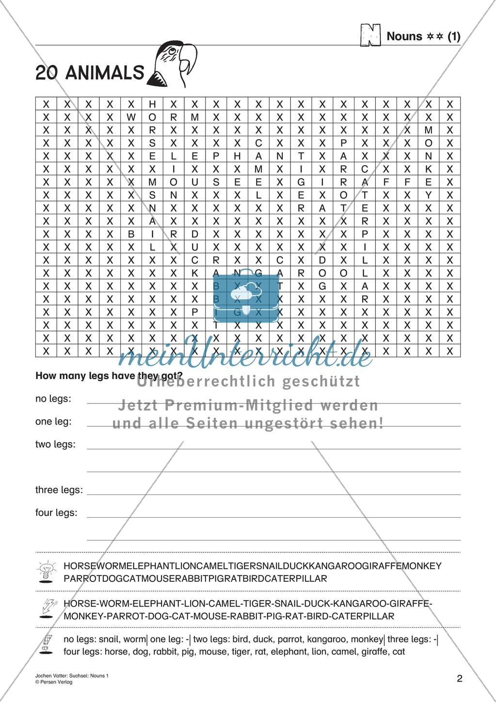 Suchsel: Nouns Preview 4