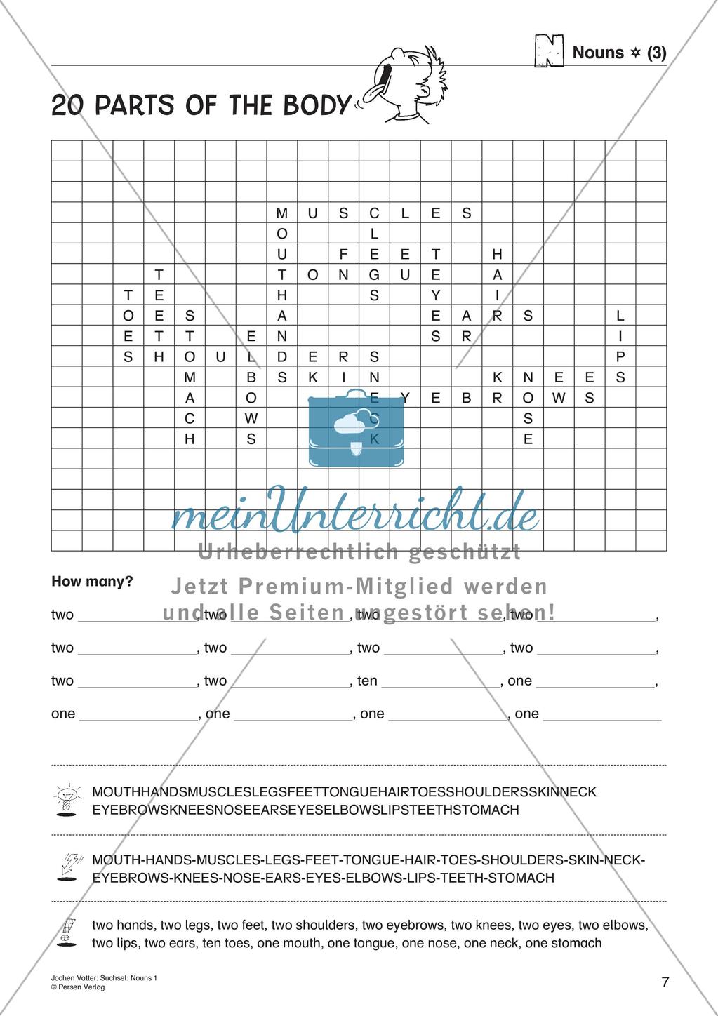 Suchsel: Nouns Preview 9