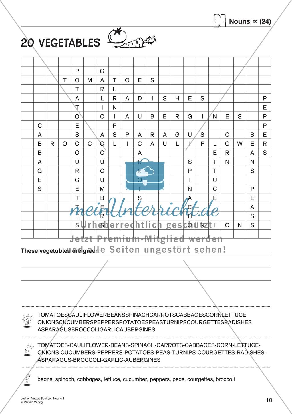 Wortschatz: Nomen-Suchsel Preview 12