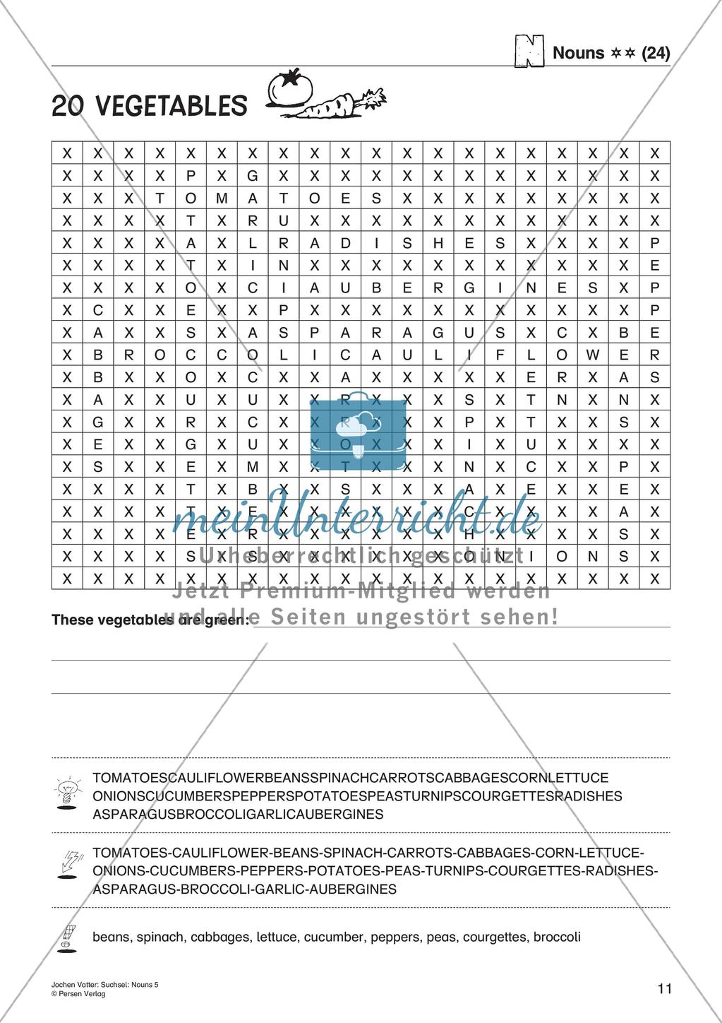 Wortschatz: Nomen-Suchsel Preview 13