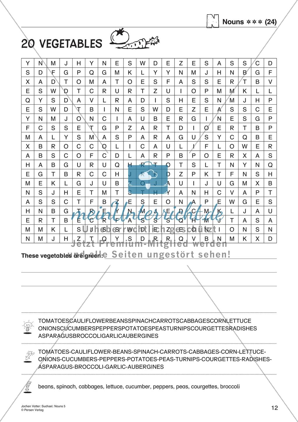Wortschatz: Nomen-Suchsel Preview 14