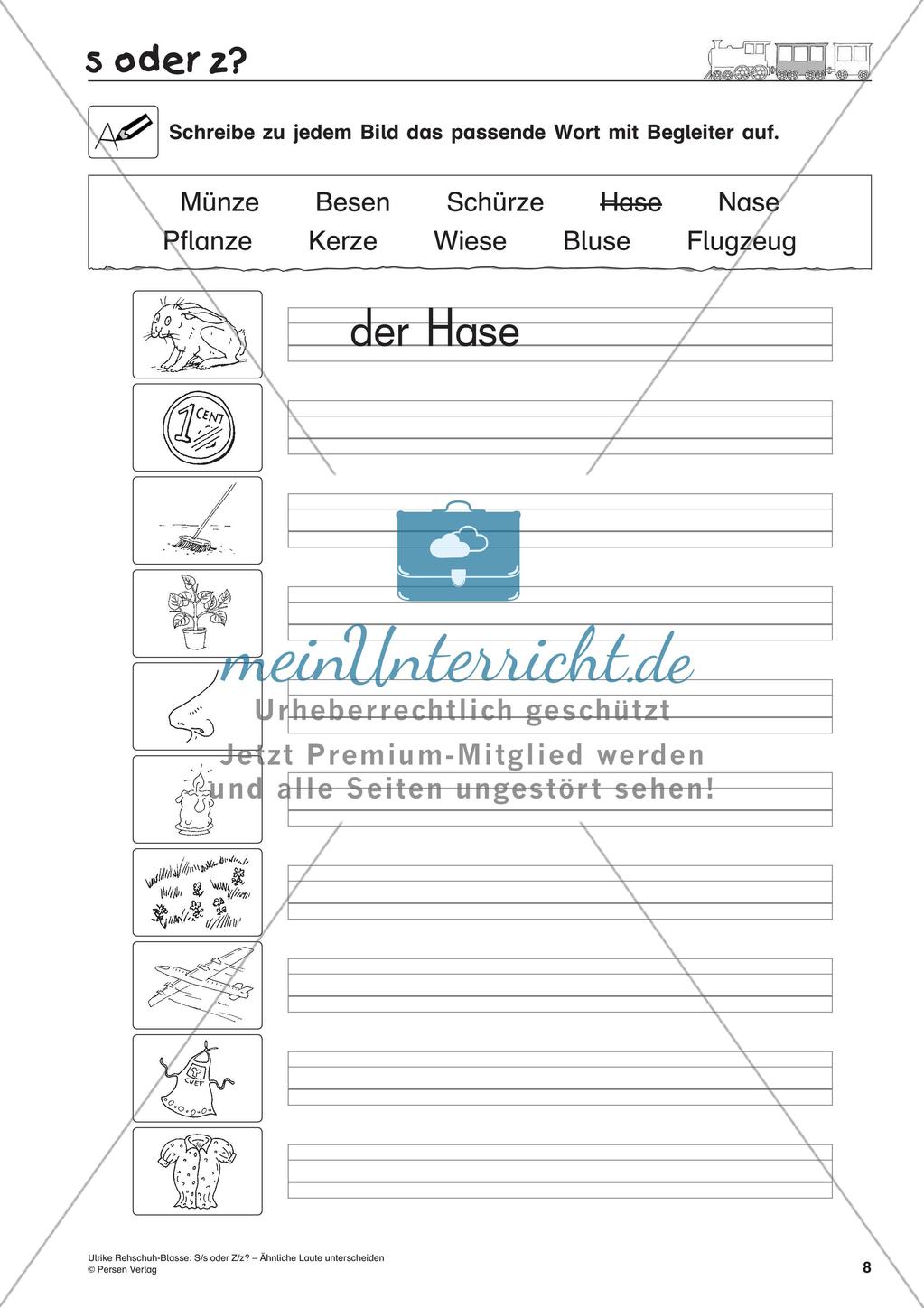 S/s oder Z/z: Unterscheidung ähnlicher Laute Preview 10