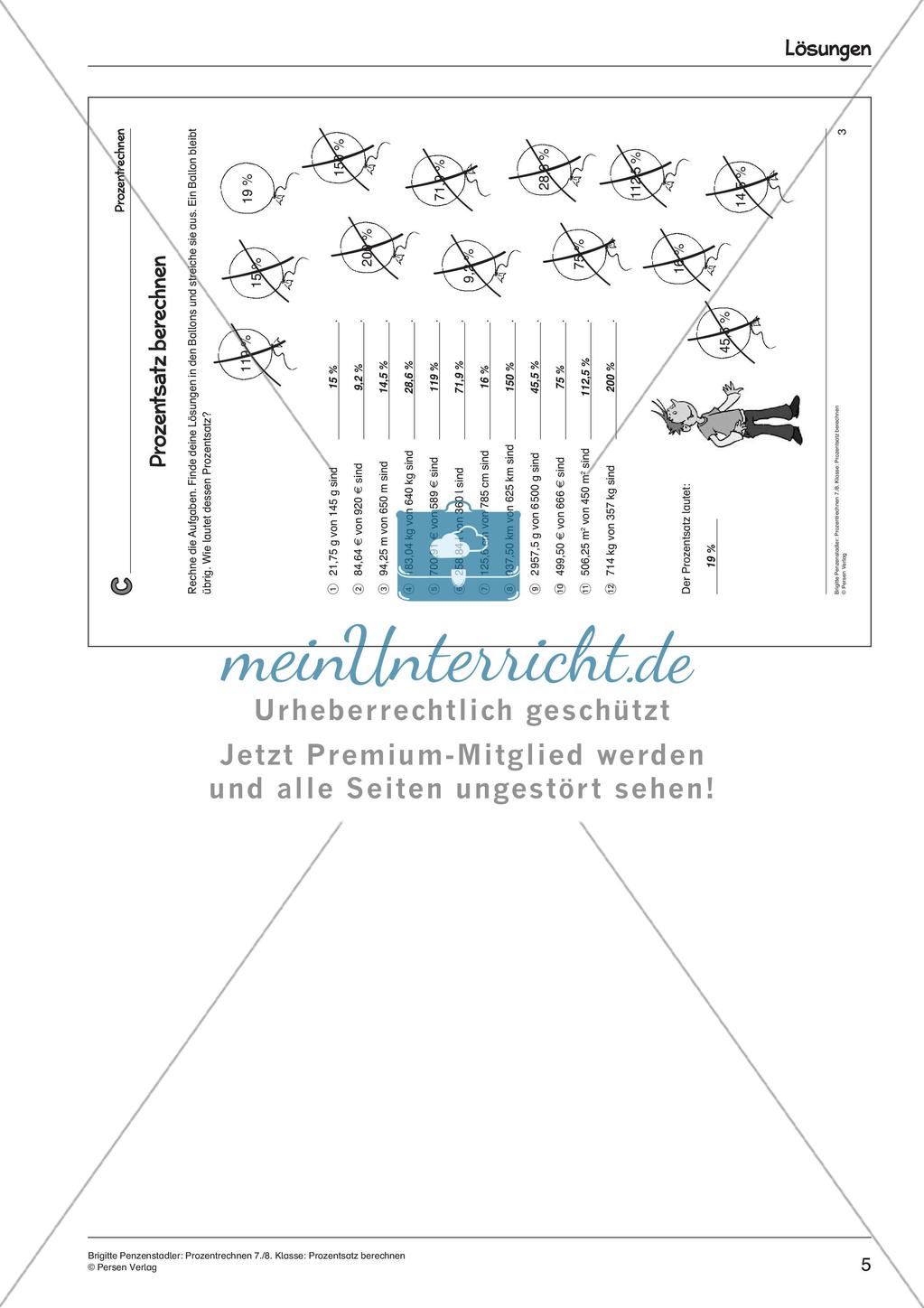 Prozentrechnen: Berechnung des Prozentsatzes Preview 7