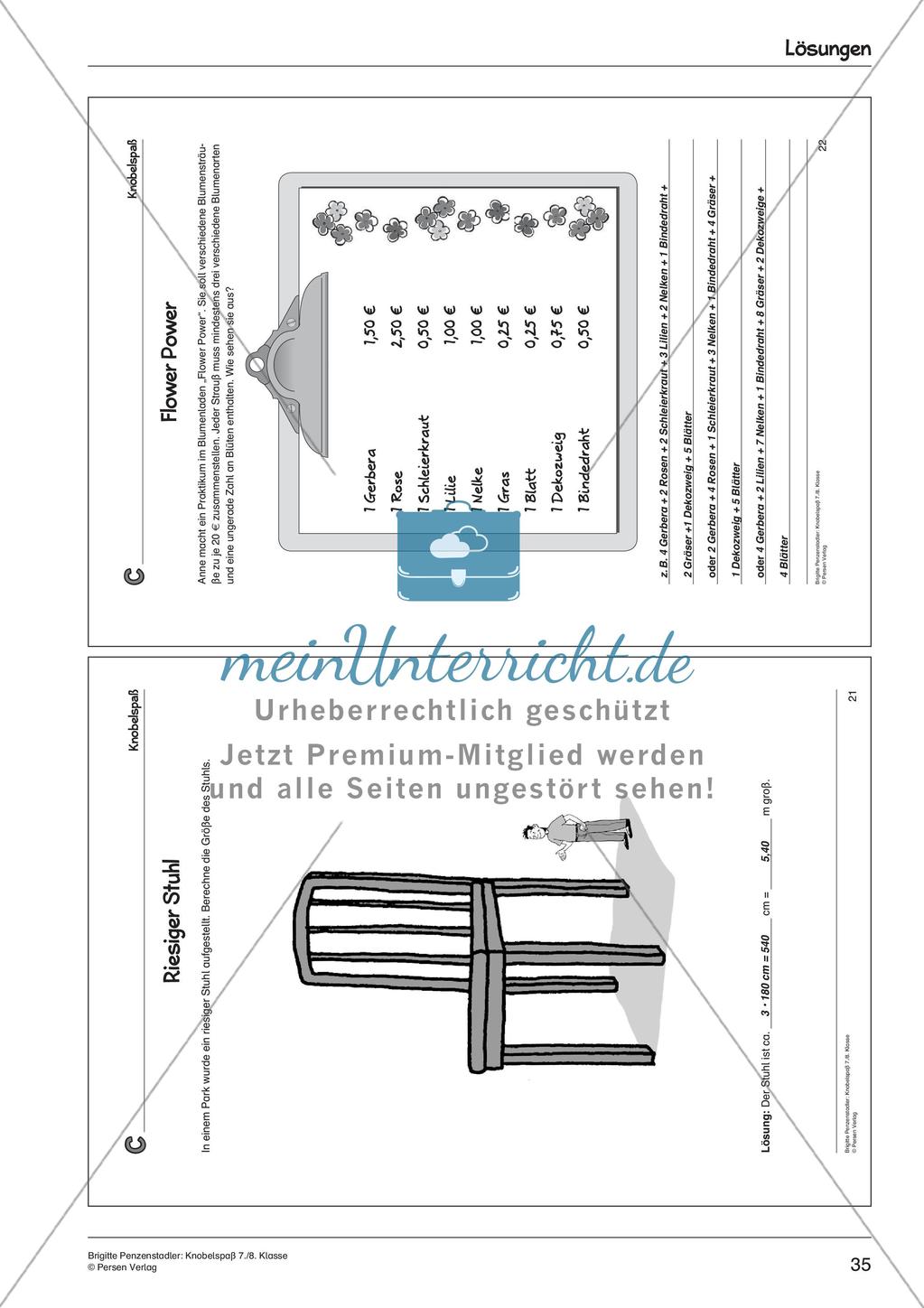 Knobelspaß Preview 37