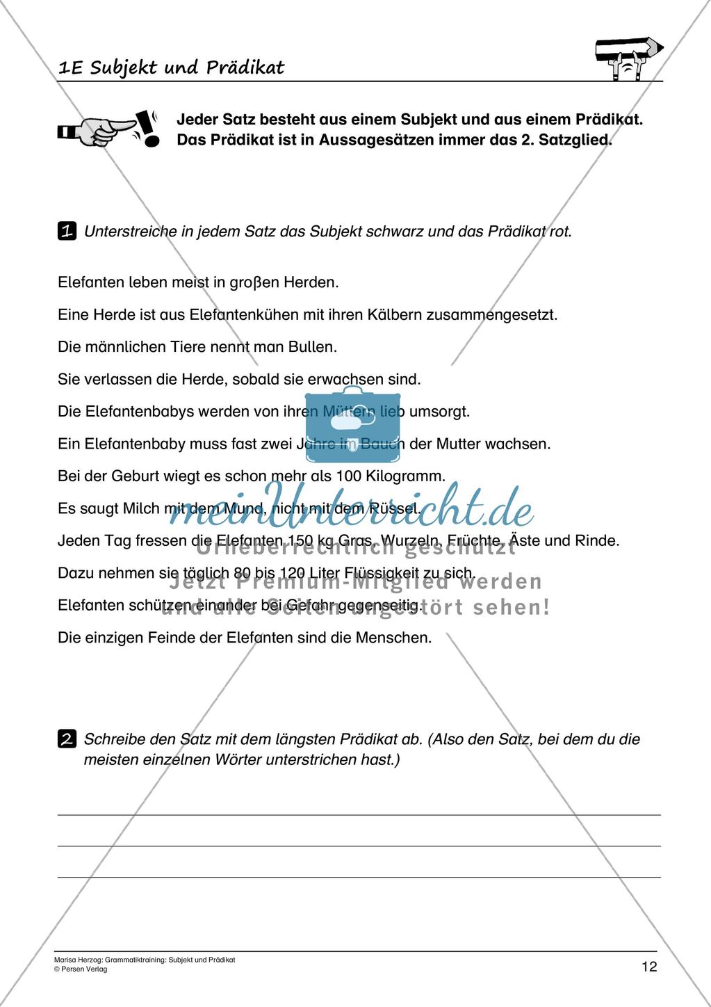 Grammatiktraining: Subjekt und Prädikat Preview 14