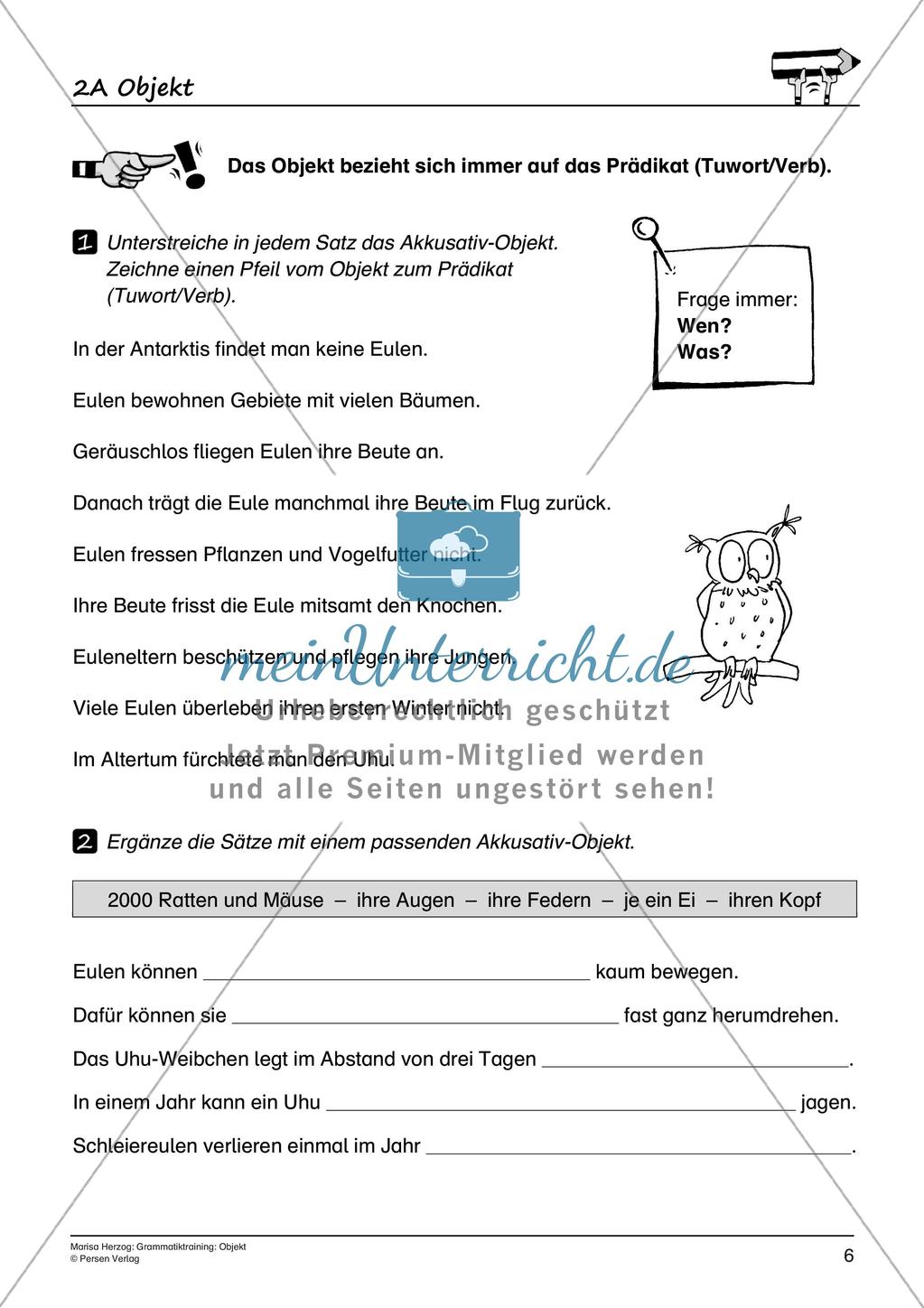 Grammatiktraining: Objekt Preview 8