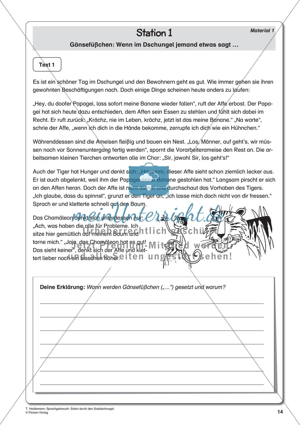 Grammatik und Zeichensetzung im Thema Dschungel Preview 16