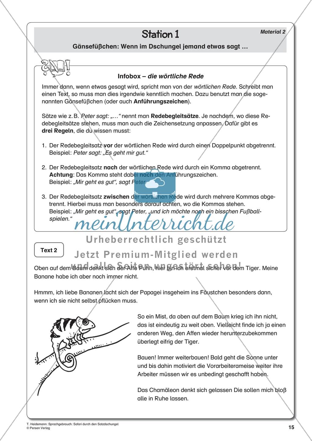 Grammatik und Zeichensetzung im Thema Dschungel Preview 17
