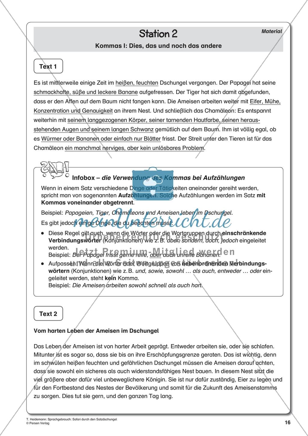 Grammatik und Zeichensetzung im Thema Dschungel Preview 18
