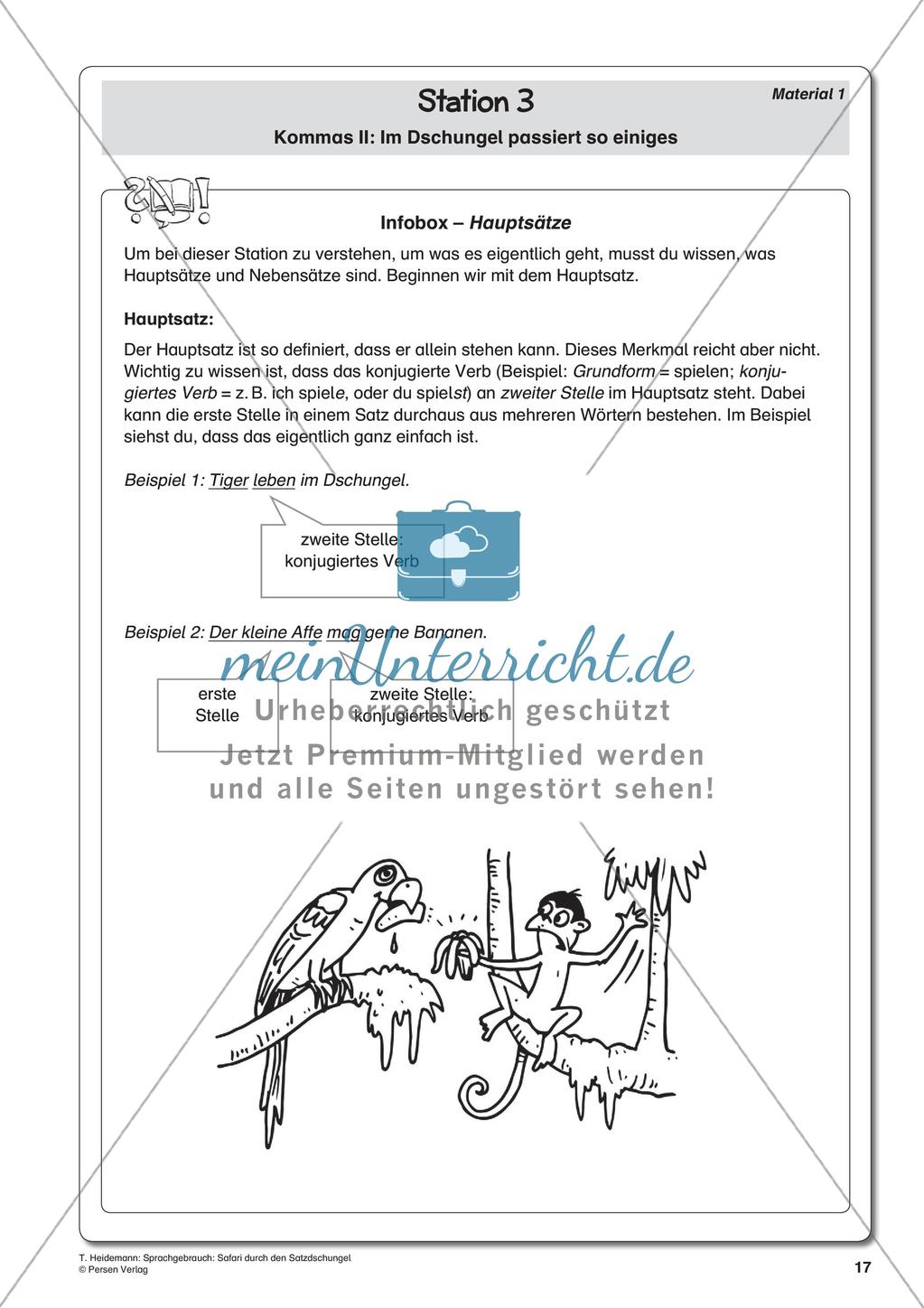 Grammatik und Zeichensetzung im Thema Dschungel Preview 19