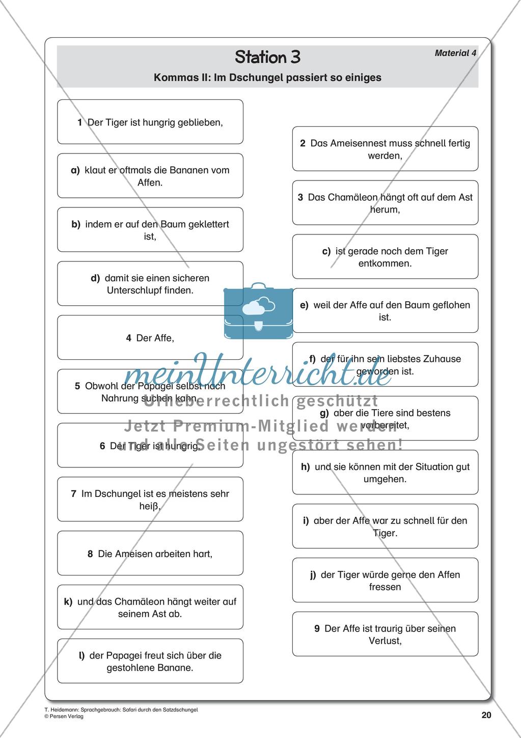 Grammatik und Zeichensetzung im Thema Dschungel Preview 22