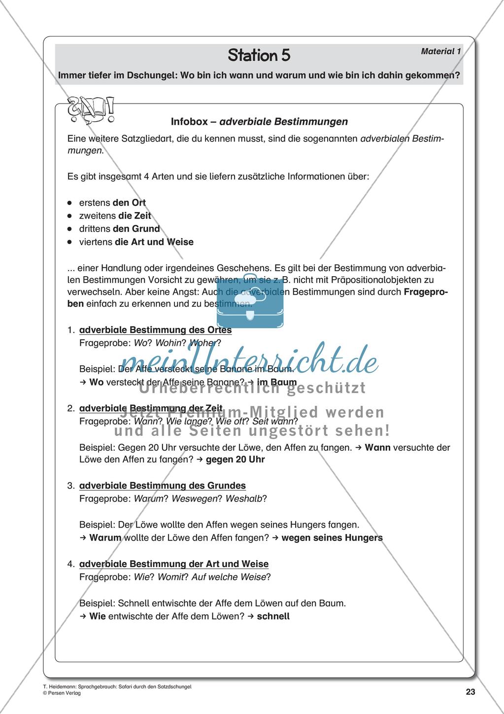 Grammatik und Zeichensetzung im Thema Dschungel Preview 25