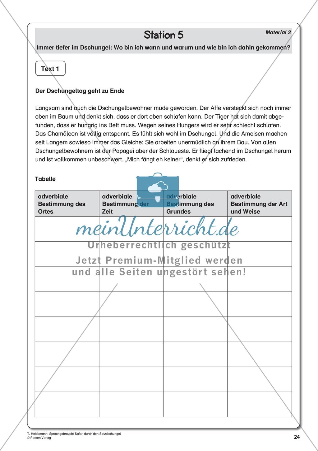 Grammatik und Zeichensetzung im Thema Dschungel Preview 26