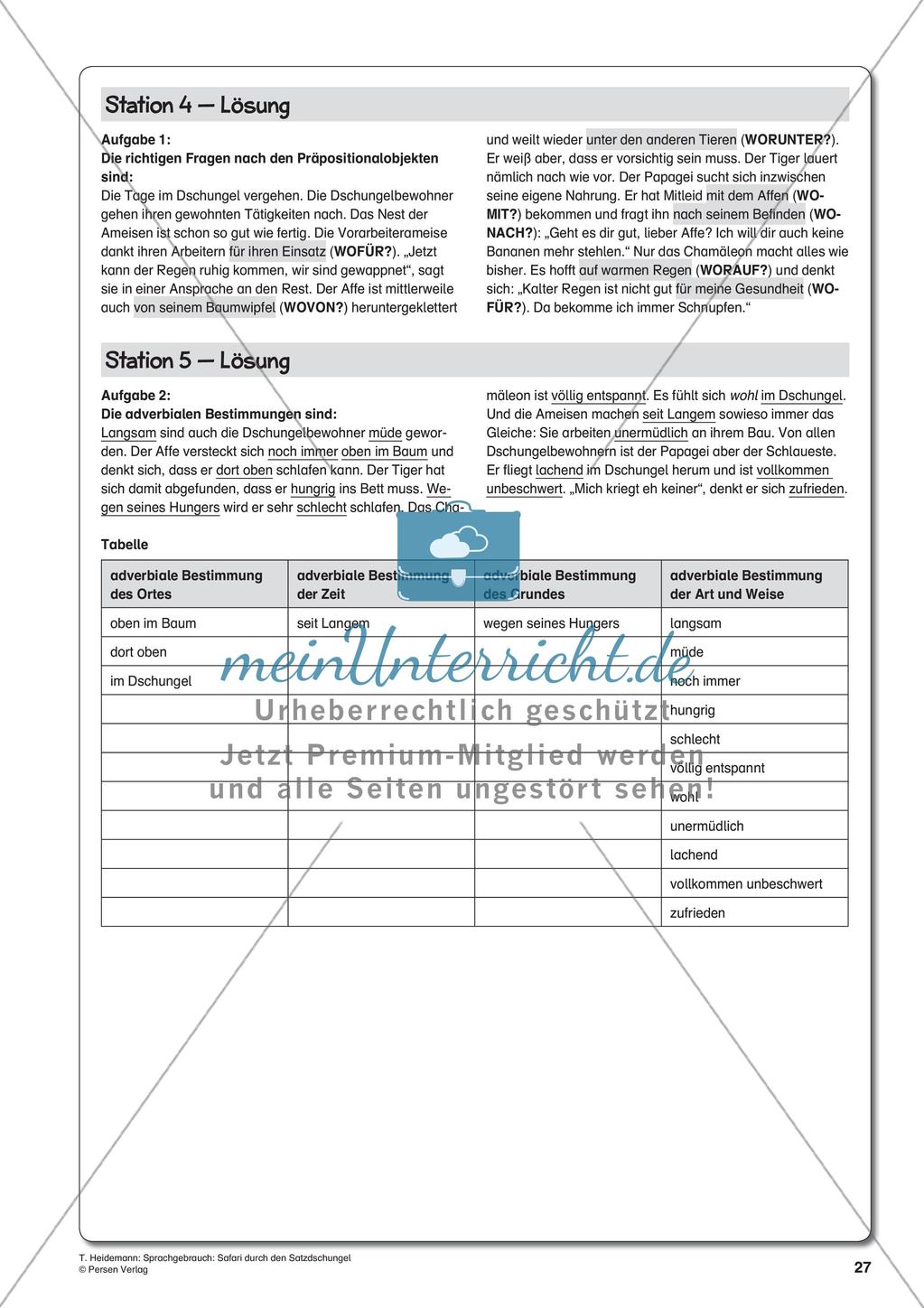 Grammatik und Zeichensetzung im Thema Dschungel Preview 29