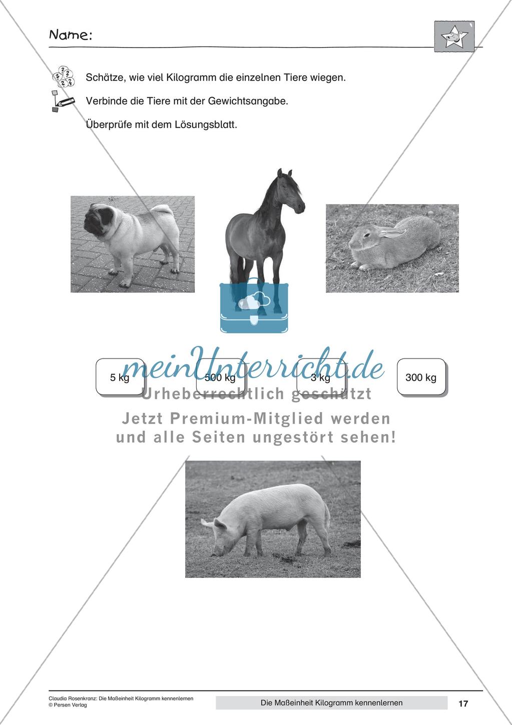 Das Kennenlernen der Maßeinheit Kilogramm Preview 19