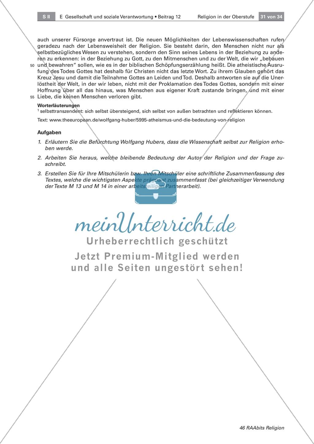 Der Begriff der Religion Preview 5