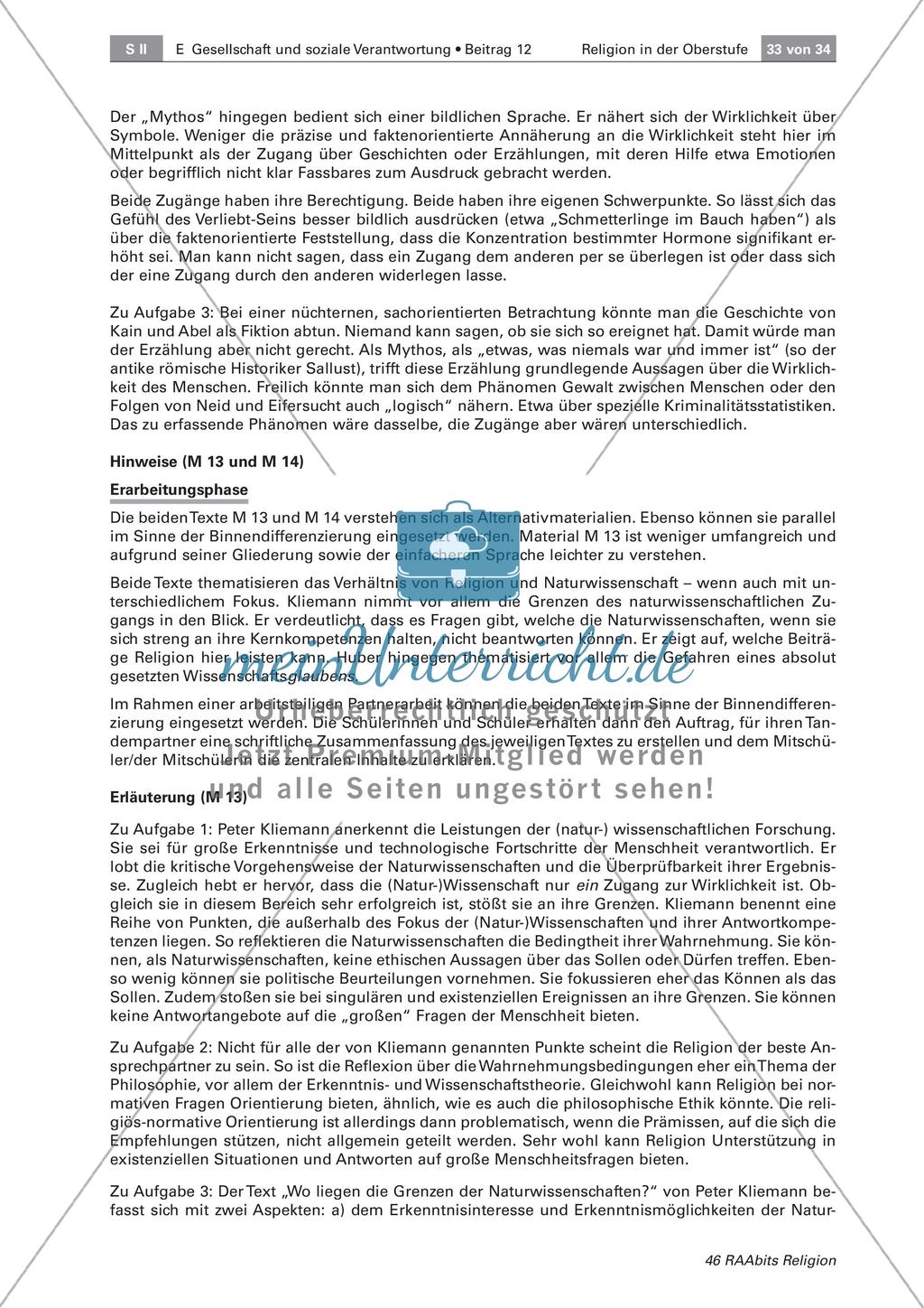 Der Begriff der Religion Preview 7