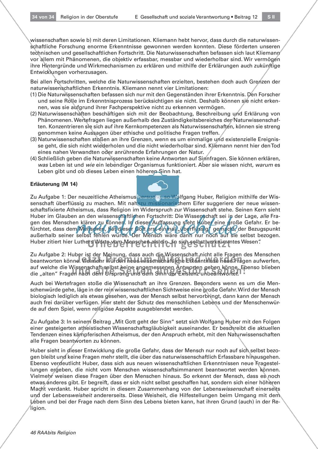 Der Begriff der Religion Preview 8