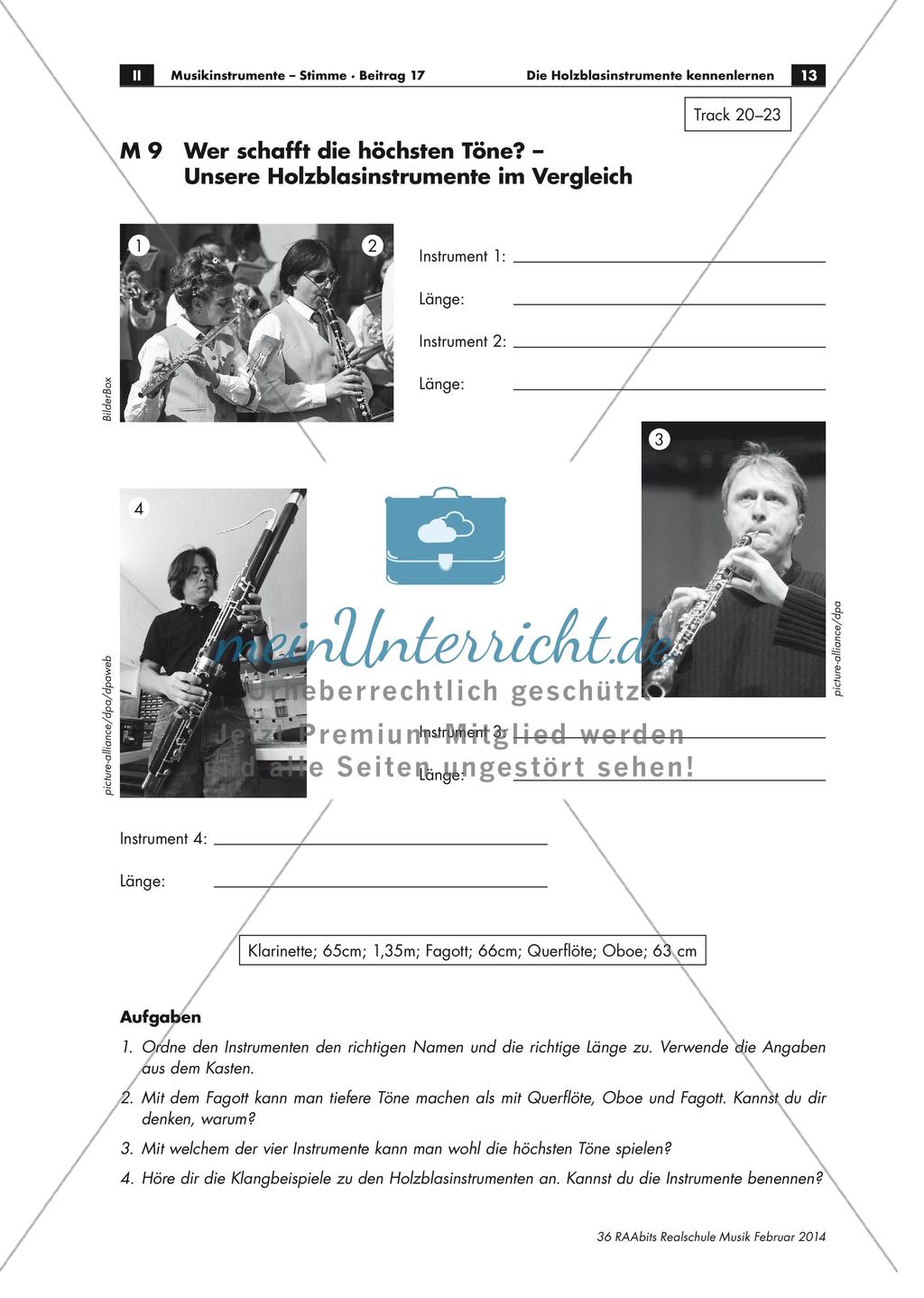Gruppenpuzzle: Holzblasinstrumente Preview 13