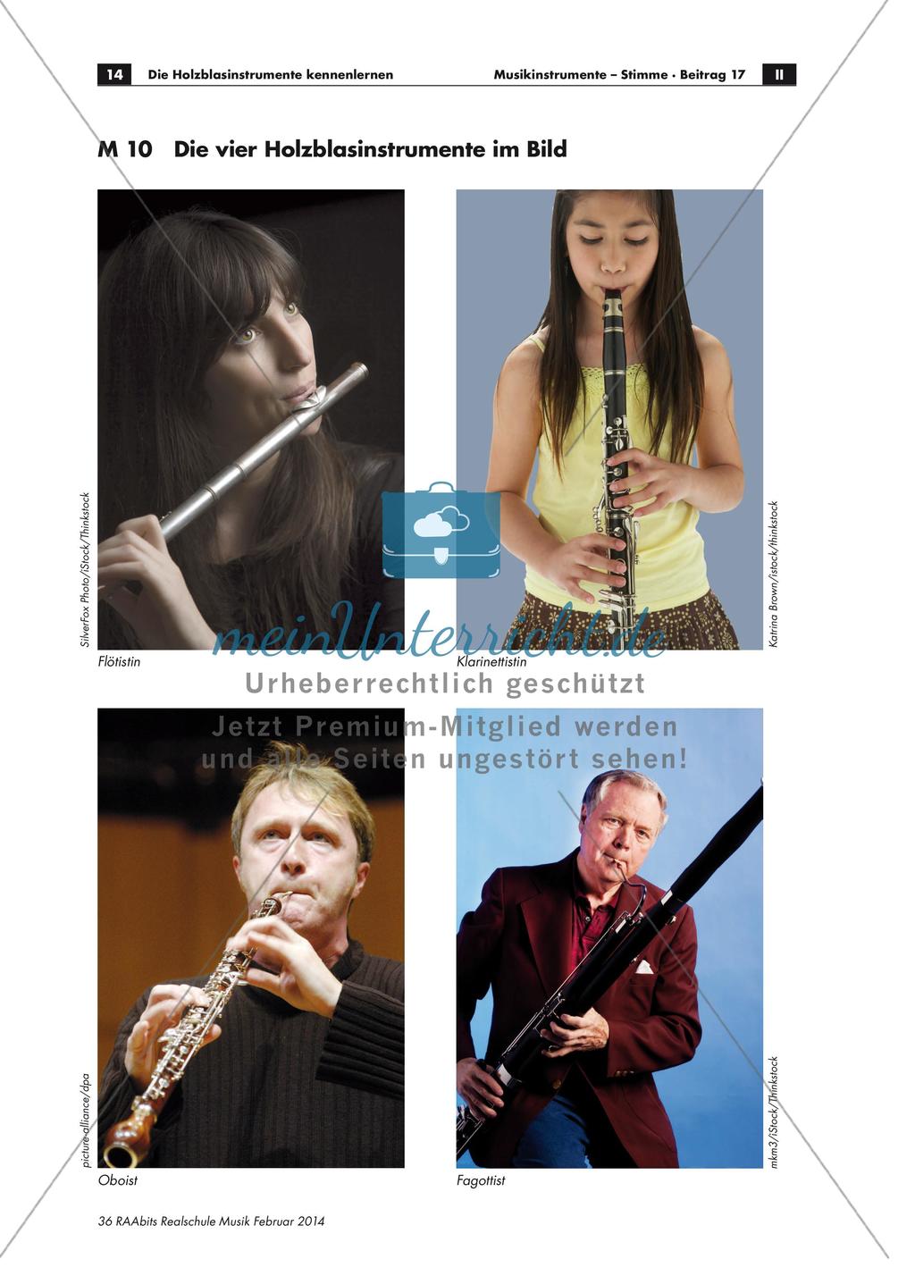 Gruppenpuzzle: Holzblasinstrumente Preview 14