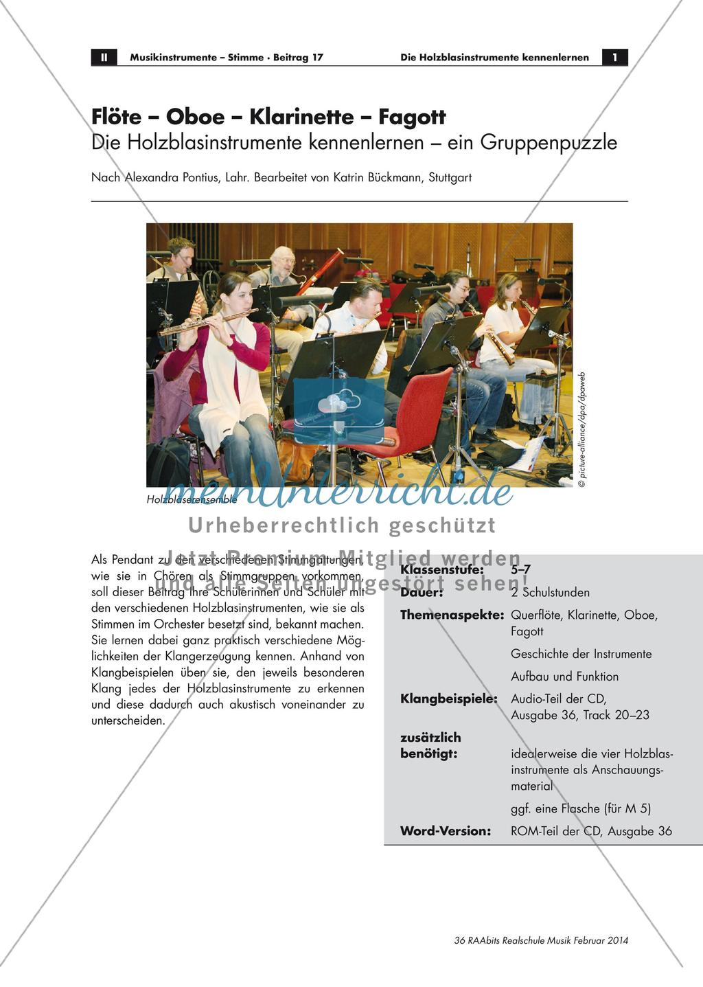 Gruppenpuzzle: Holzblasinstrumente Preview 1