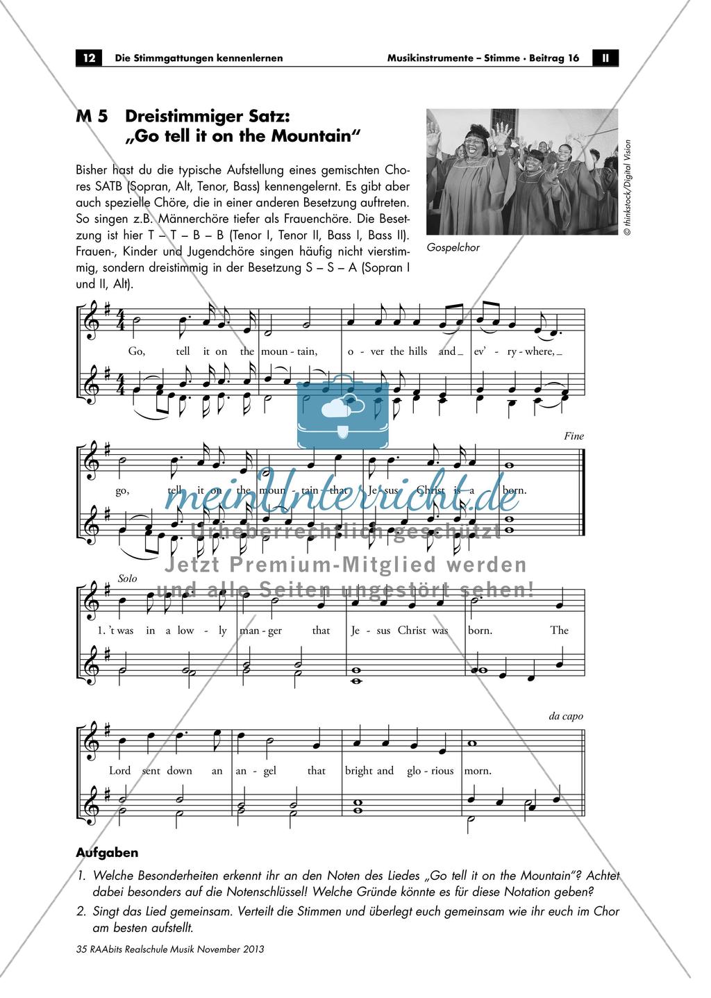 Stimmgattungen: Sopran - Alt - Tenor - Bass Preview 12