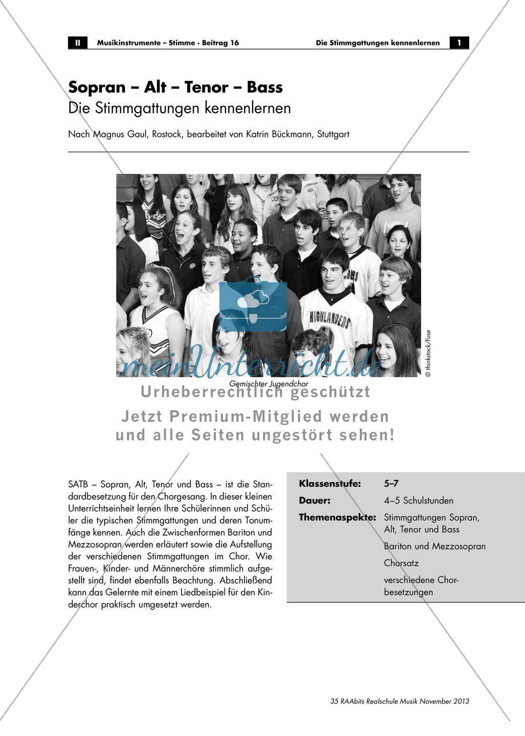 Stimmgattungen: Sopran - Alt - Tenor - Bass Preview 1