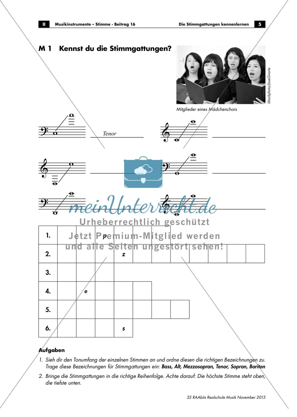 Stimmgattungen: Sopran - Alt - Tenor - Bass Preview 5