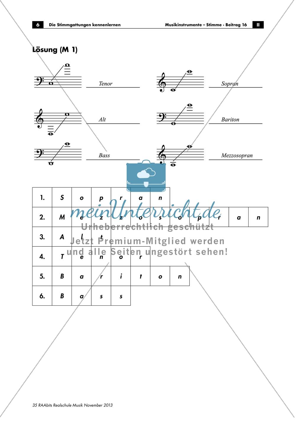 Stimmgattungen: Sopran - Alt - Tenor - Bass Preview 6