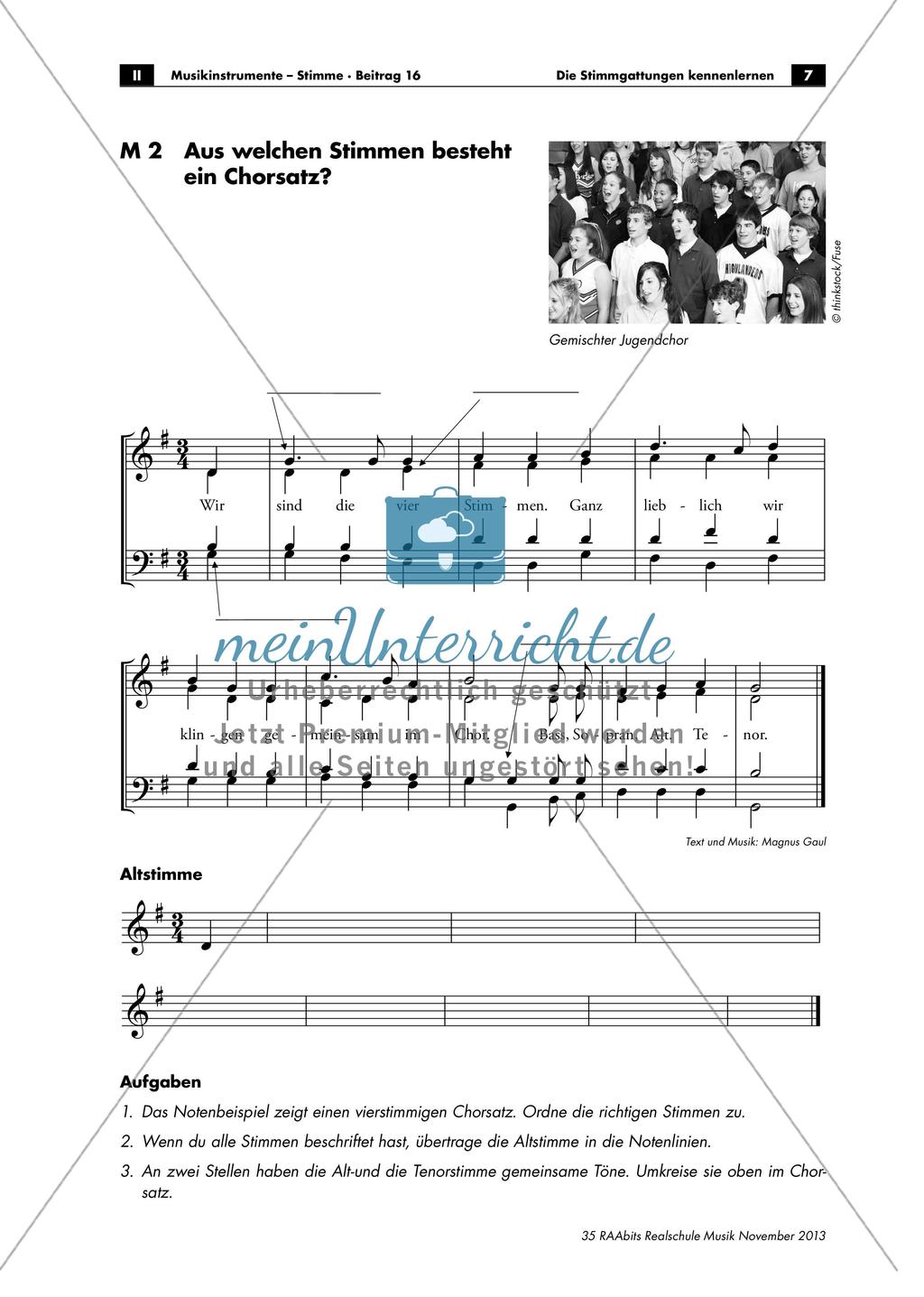 Stimmgattungen: Sopran - Alt - Tenor - Bass Preview 7