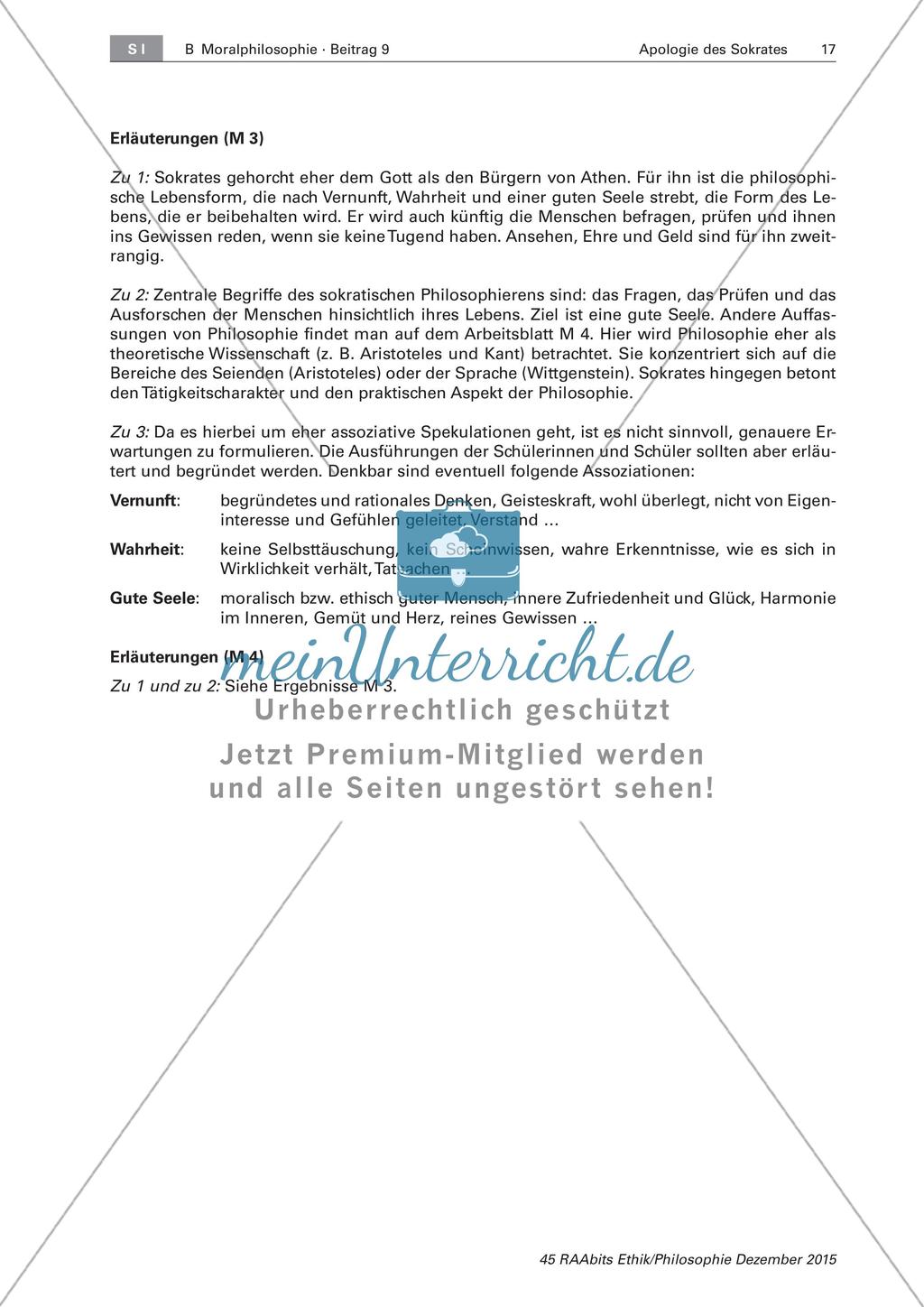Platon: Philosophie als Lebensform Preview 4