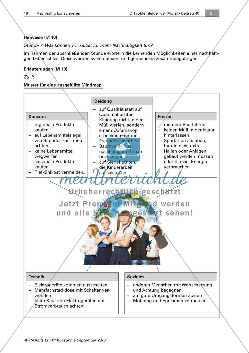 Das nachhaltige Konsumieren von Gütern Preview 16