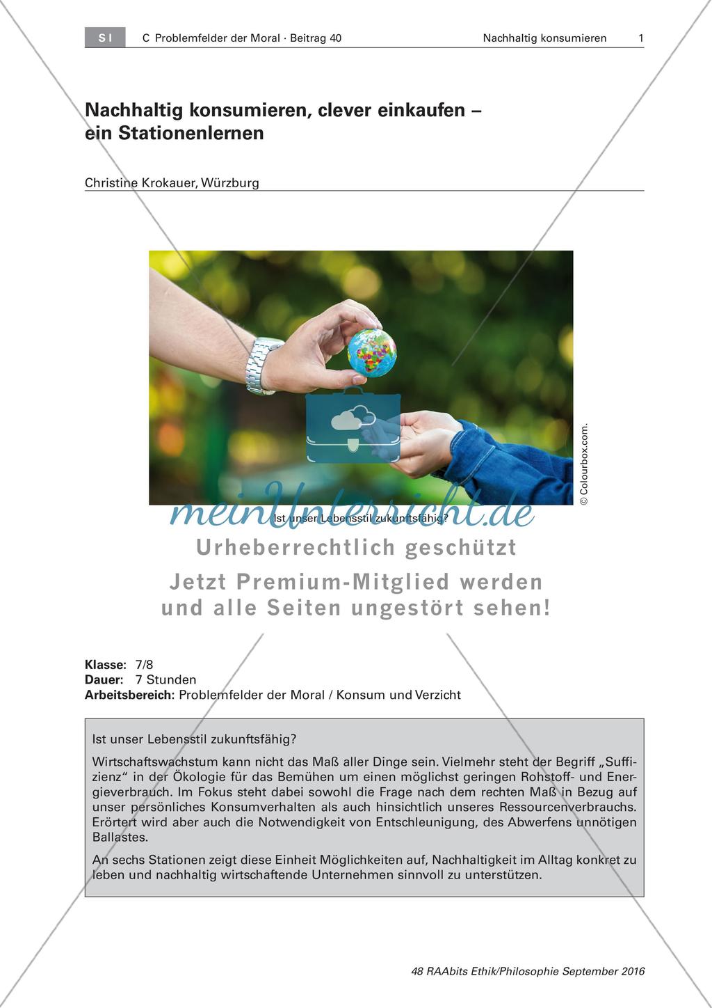 Das nachhaltige Konsumieren von Gütern Preview 1
