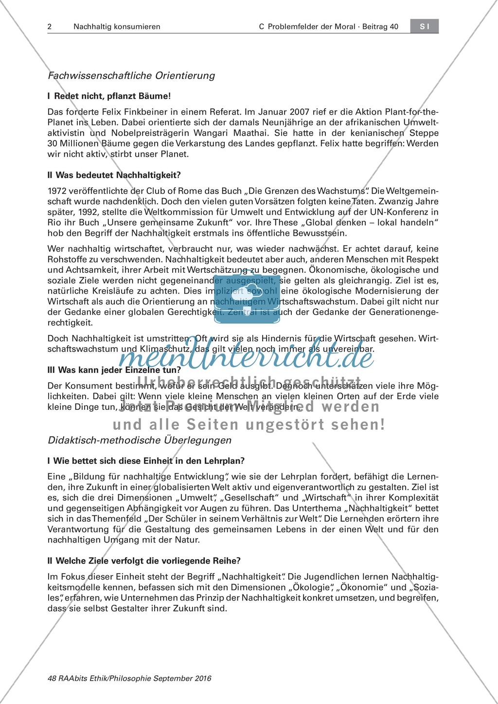 Das nachhaltige Konsumieren von Gütern Preview 2