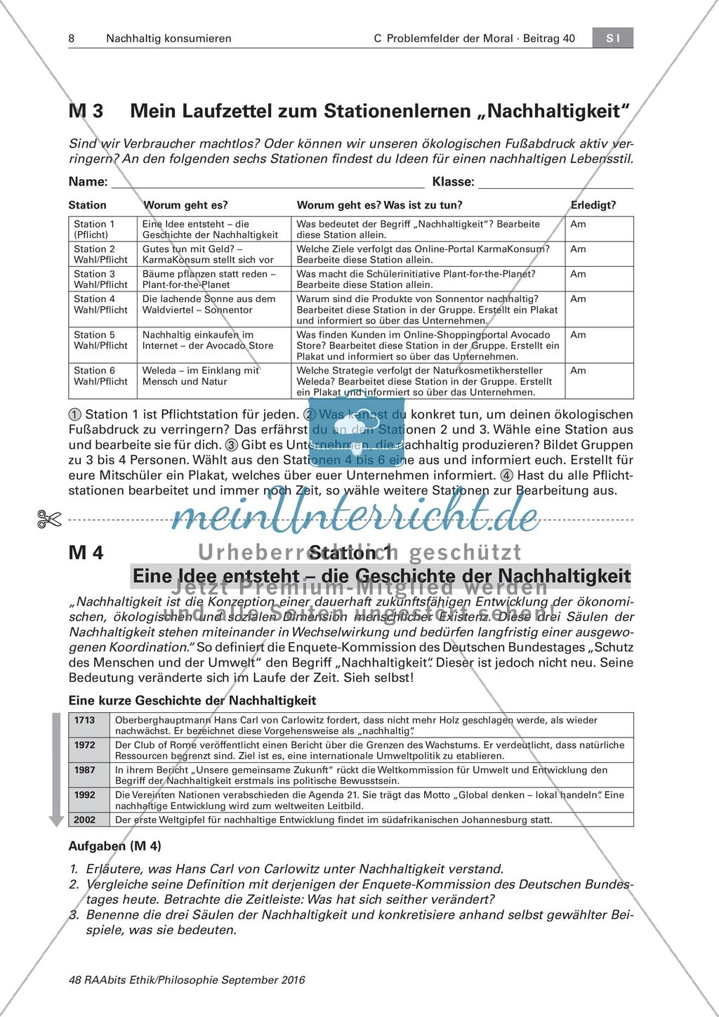 Das nachhaltige Konsumieren von Gütern Preview 8