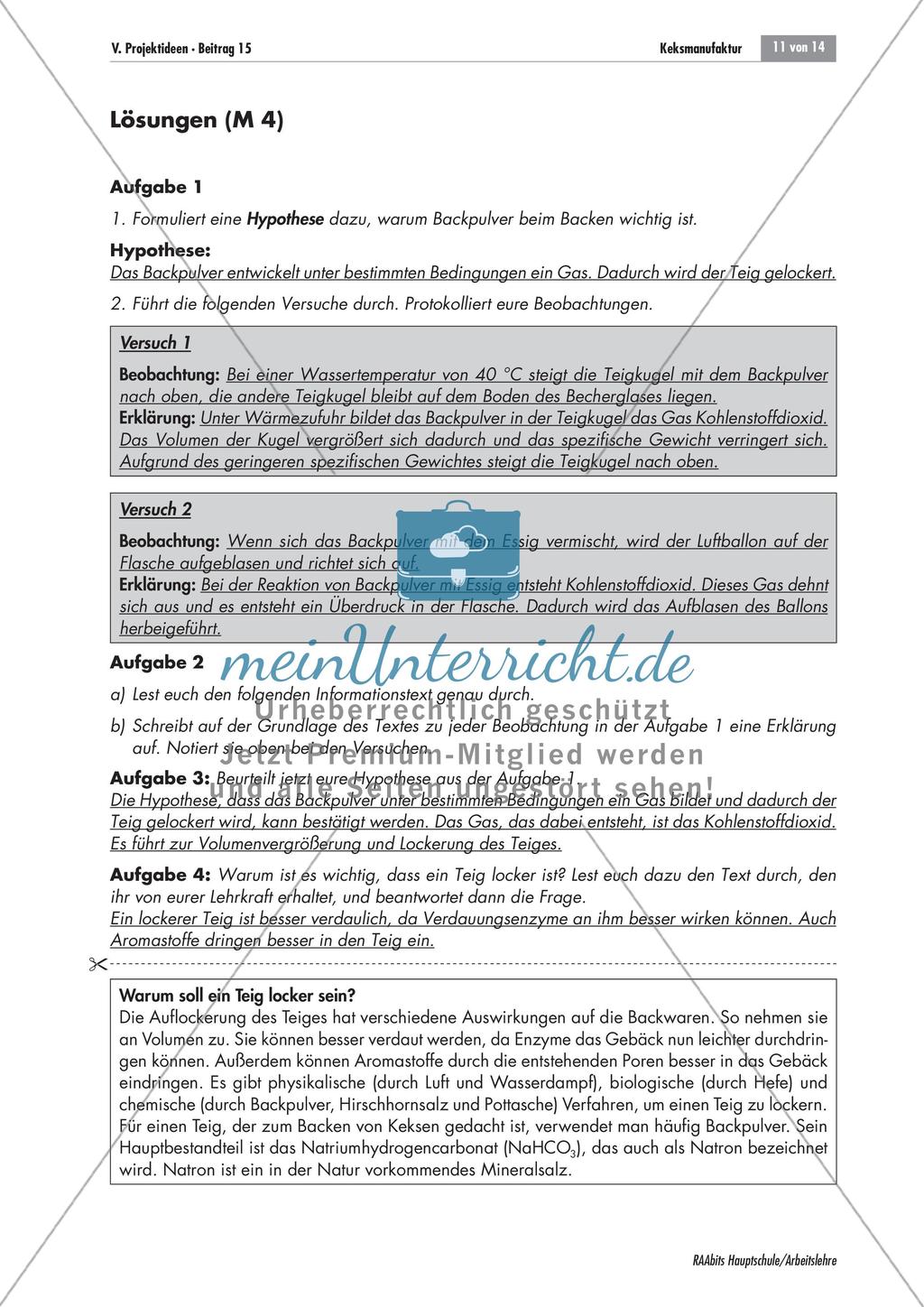 Verkaufsprojekt: Die Keksmanufaktur Preview 11