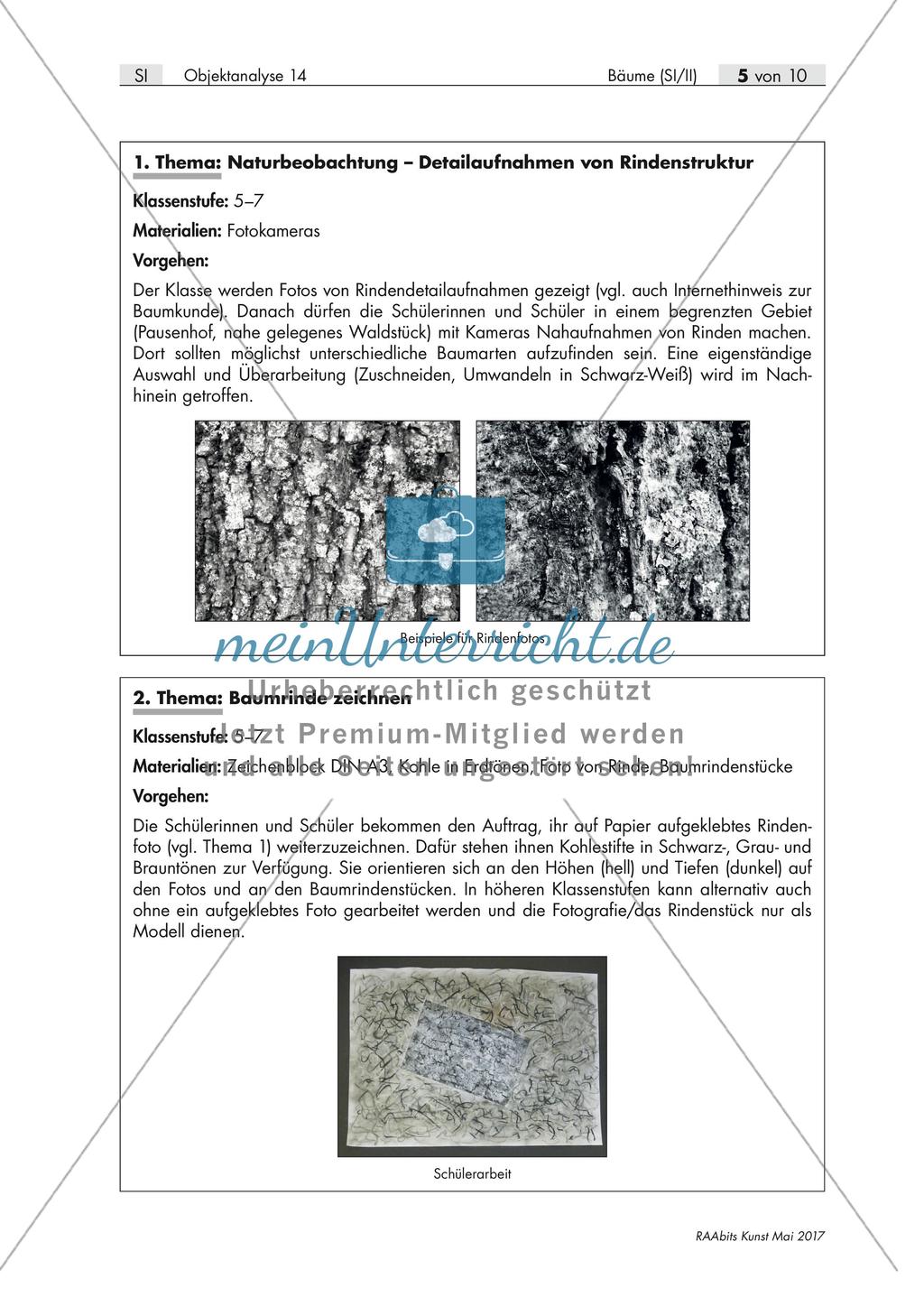 Übungen zum Thema Baum Preview 5