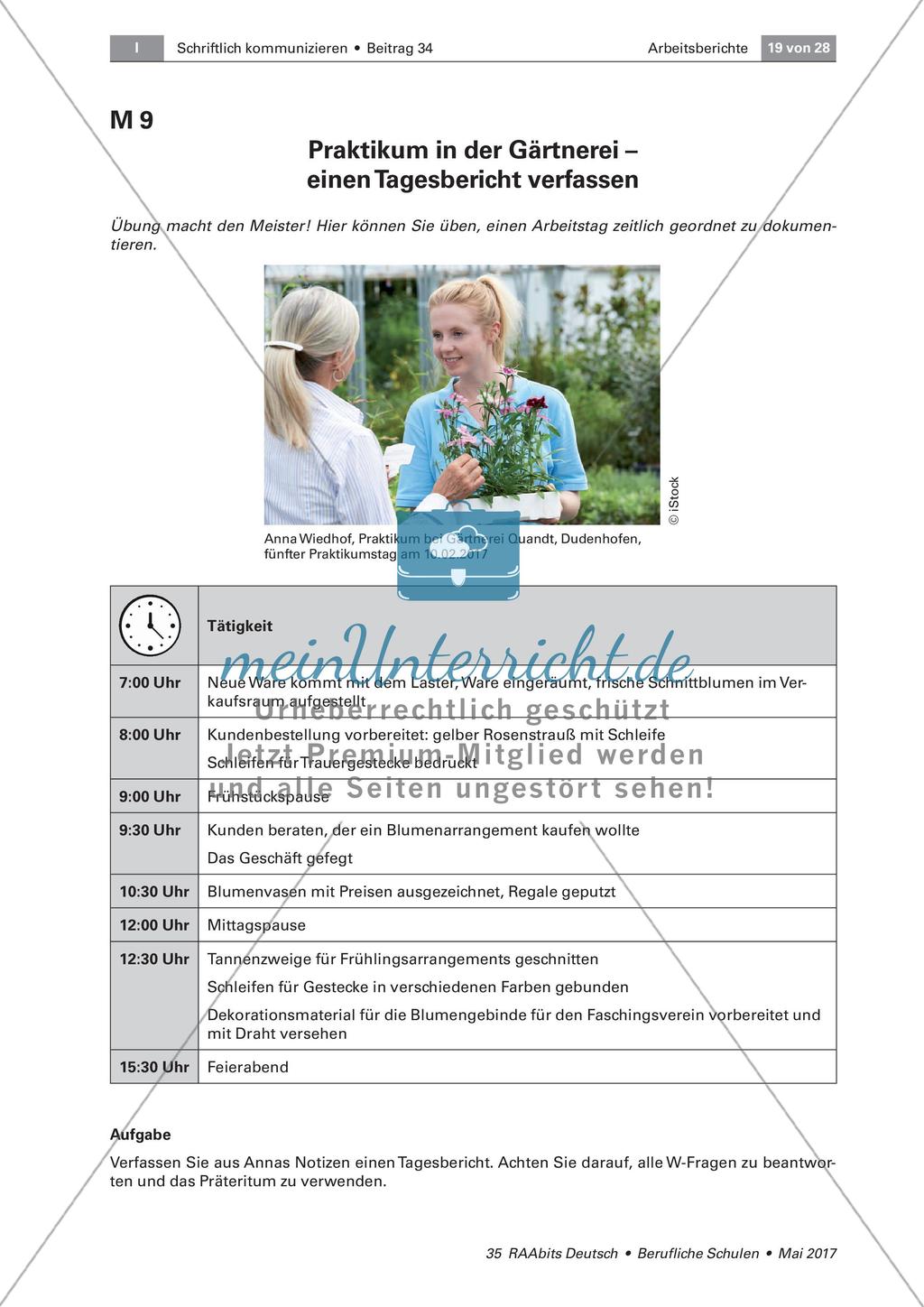 Einsatz und Formen von Arbeitsberichten Preview 3