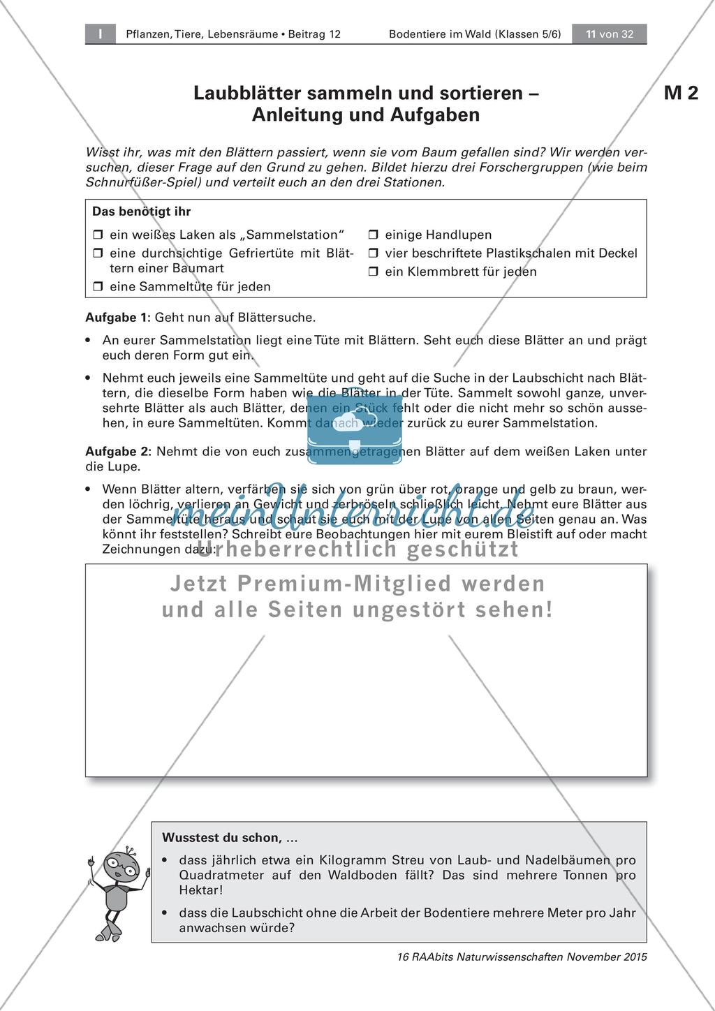 Bodentiere und Streuabbau im Wald Preview 3