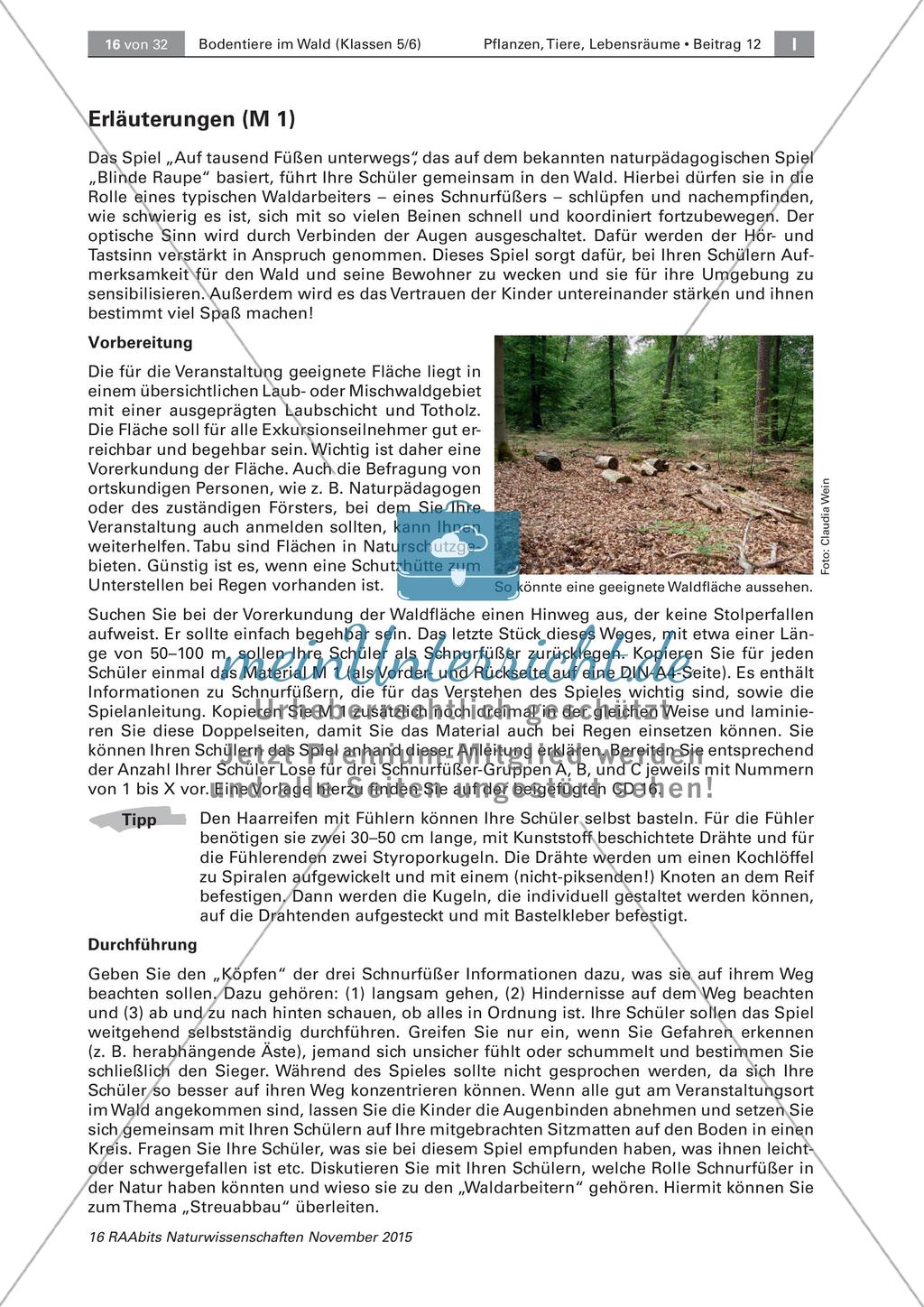 Bodentiere und Streuabbau im Wald Preview 5