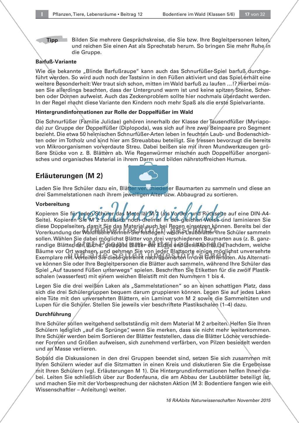 Bodentiere und Streuabbau im Wald Preview 6