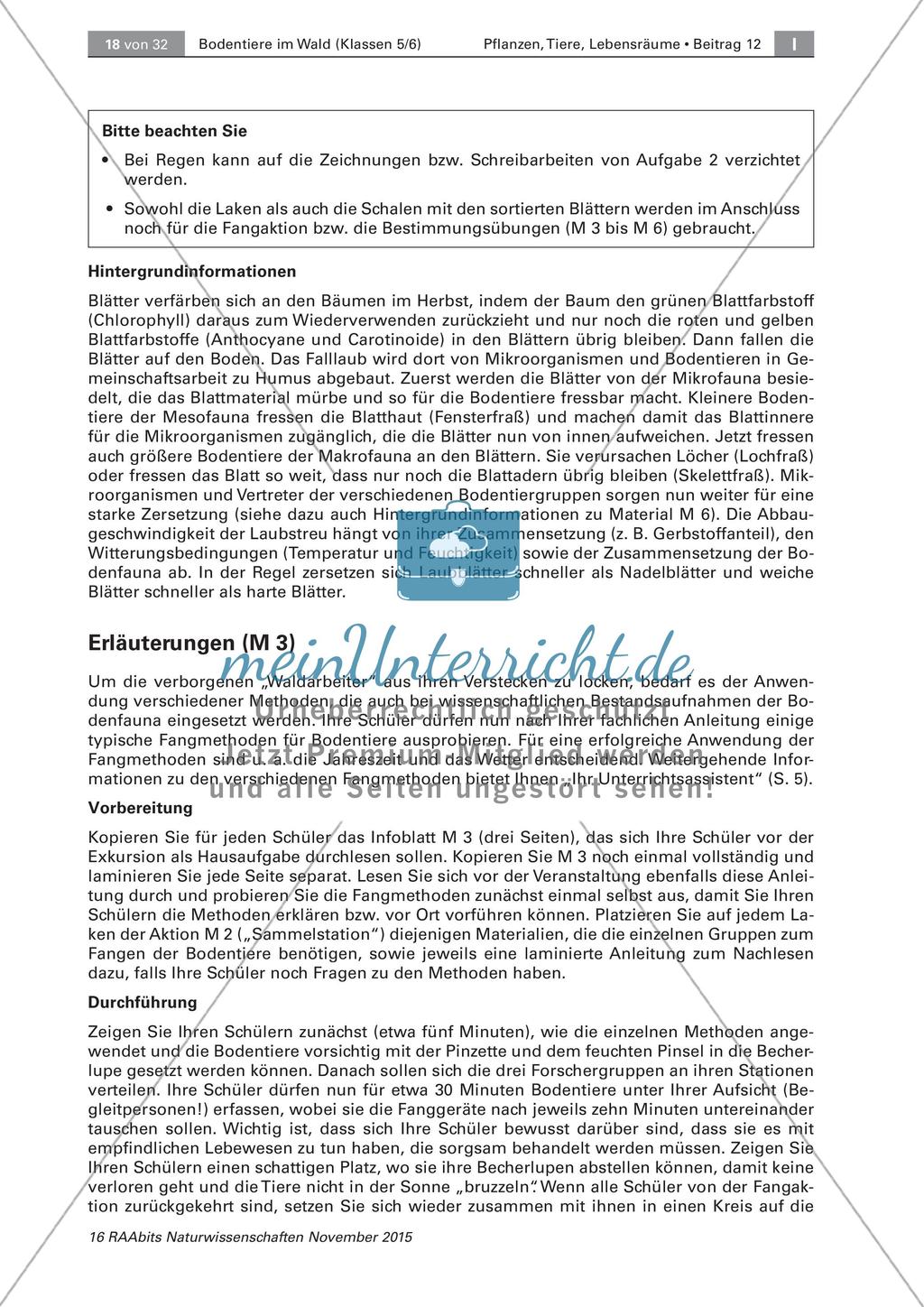 Bodentiere und Streuabbau im Wald Preview 7