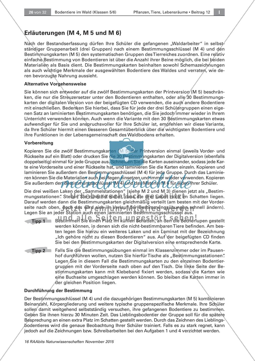 Bestimmung von Bodentieren Preview 7