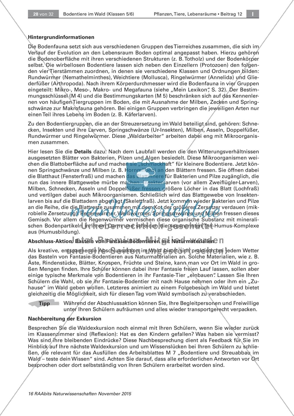 Bestimmung von Bodentieren Preview 9