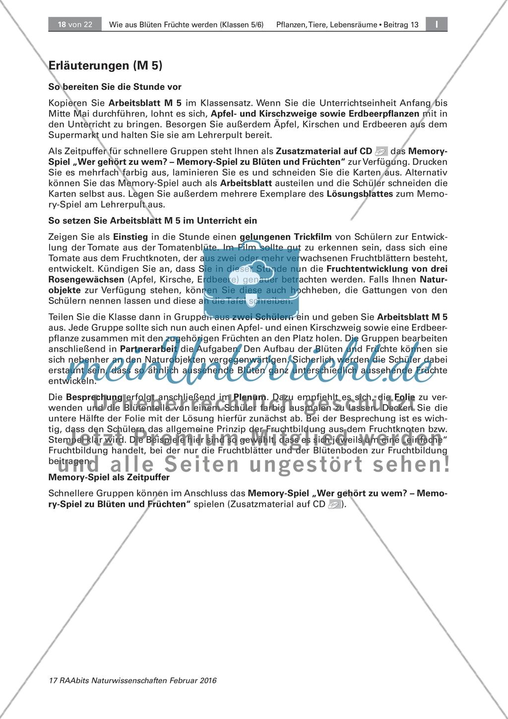 Die Entstehung der Frucht aus der Blüte Preview 11