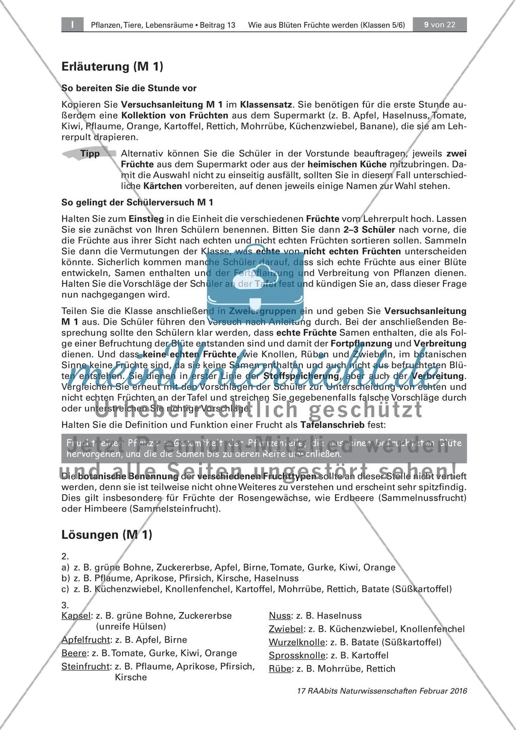 Die Entstehung der Frucht aus der Blüte Preview 2