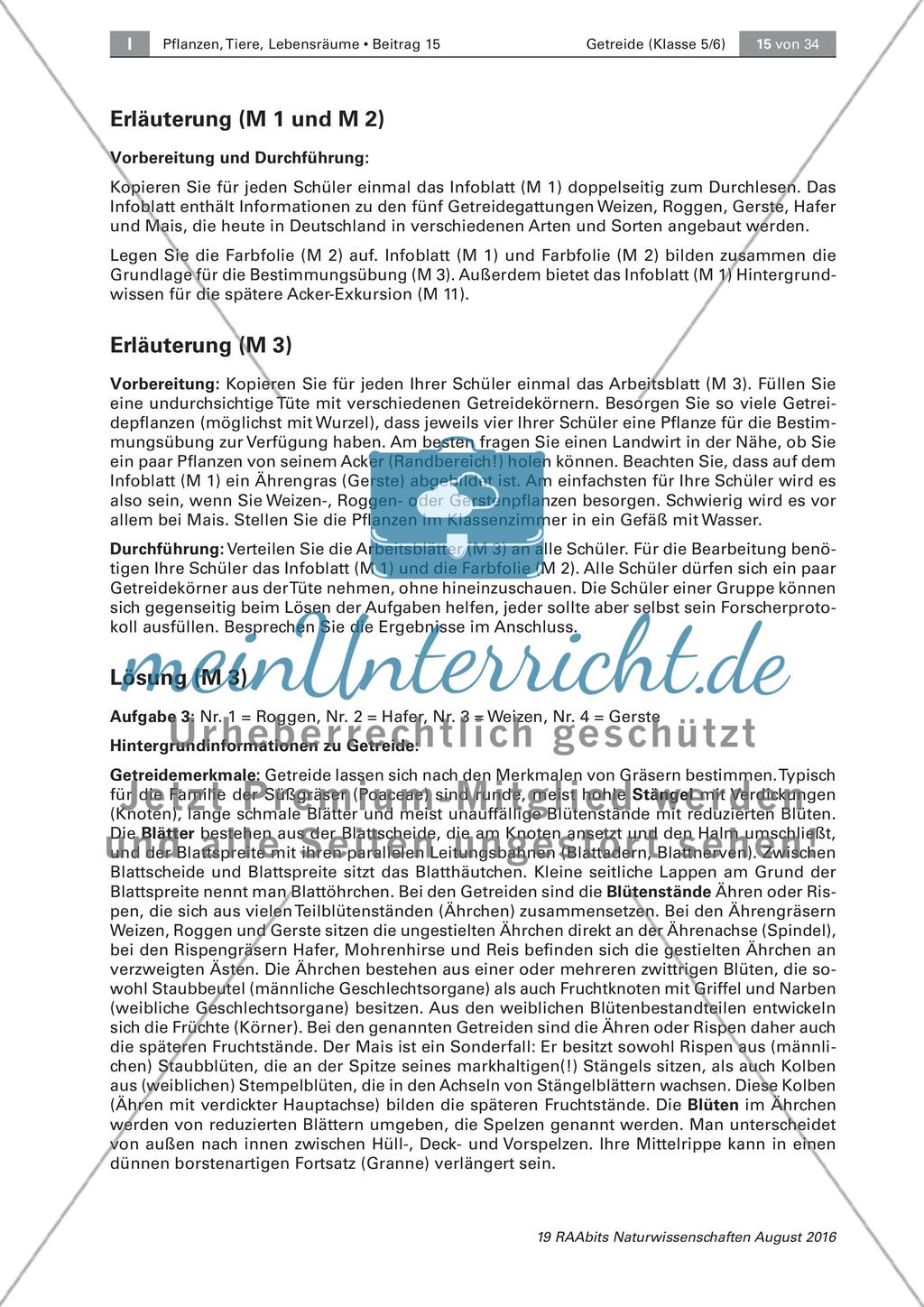 Getreide: Getreidegattungen Preview 5